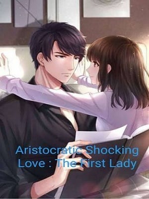 Aristocratic Shocking Love: The First Lady-Novel2