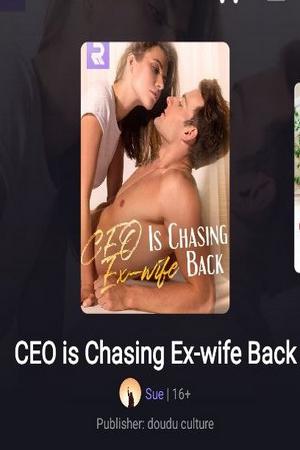 CEO is Chasing Ex Wife Back